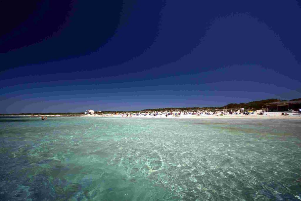 Club - Detached Homes - Hotelera Azur Sa Ràpita